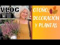 COMIENZA EL OTOÑO //  DECORACIÓN OTOÑAL // DEPRESIÓN ESTACIONAL