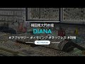 [NDmarket] (DIANA) 韓国アクセサリー/南大門市場/アクセサリー卸売/アクセサリー事業/原石/誕生石/意味ある/人気商品