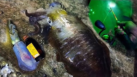 ตกหมึกตอนกลางคืน ได้หมึกใหญ่ๆ ทำเหยื่อ ตกปลามันจะคุ่มไหม? [The Fish] E.P.25