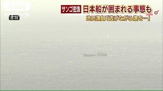 「中国船に囲まれ、逃げながら漁を・・・」地元漁師(14/11/11)
