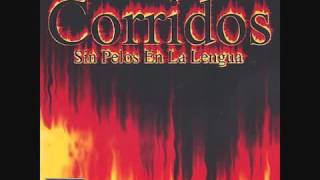 Video thumbnail of "Oro Norteño - La Eche En El Carrito"