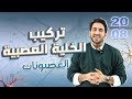 الحصة الثالثة من الفصل الثاني تركيب الخلية العصبية وجهد الراحة الأستاذ محمد بطاينة جيل 2008 