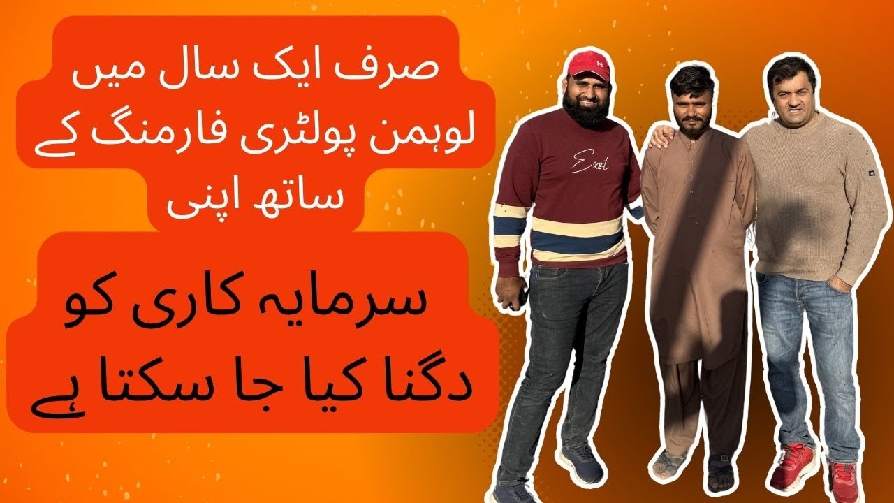 Double Your Investment with Lohmann Poultry Farming in Just ONE Session