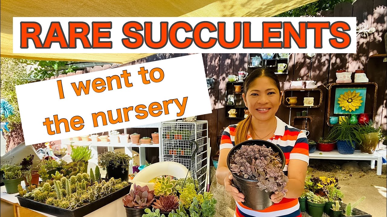 Succulent Nursery Tour August 2020 | Watsonville Ca