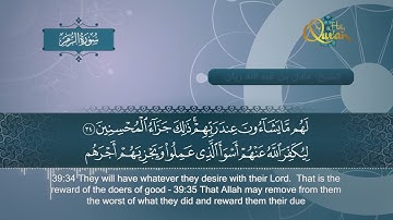 سورة الزمر   الشيخ عادل ريان   Surat Az Zumar   Sheik Adel Rayan
