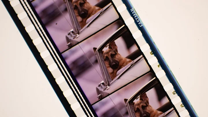 Rare 35mm Trailer – K-9 (1989) | Classic Cop Comedy