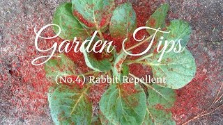 HD Vegetable Garden Tip No.4: How to make Pepper Spray Rabbit Repellent