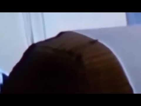 انا رديت لعيونك الاغنيه فيها صرصور ما اكتشفوا من ١٩٧٨ بالكارونا طلع