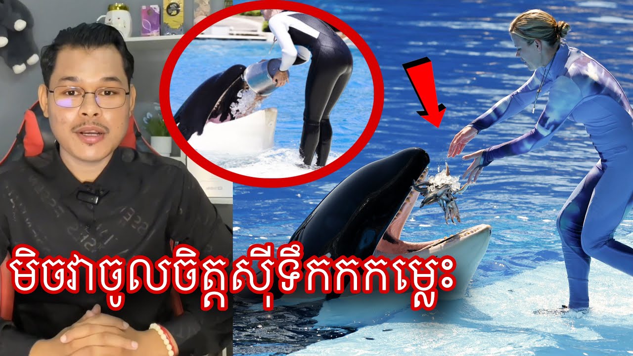 មកដឹងមូលហេតុដែលបានឡែនពេជឃាតចូលចិត្តស៊ីទឹកកក l Mr.Veasna2