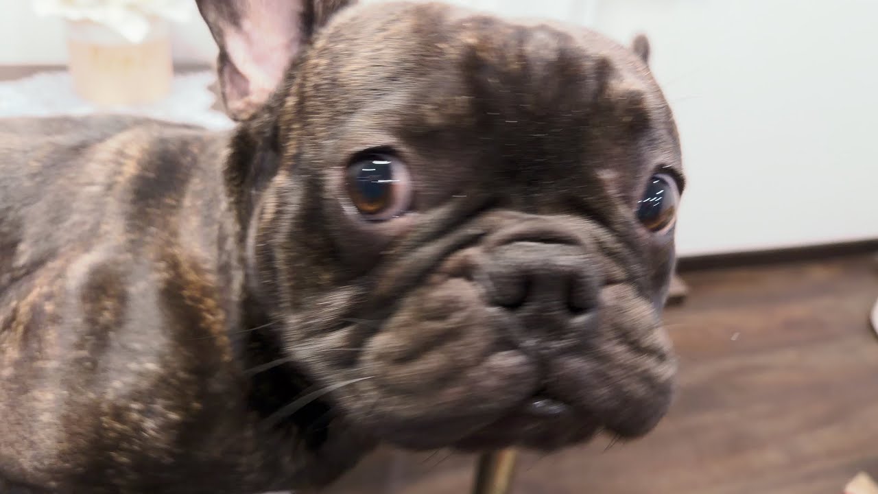 Часть 48. Первые проблемы со здоровьем у Егора