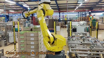 OVOCONCEPT : RANGE OF OVOCASER CASES PACKING ROBOT