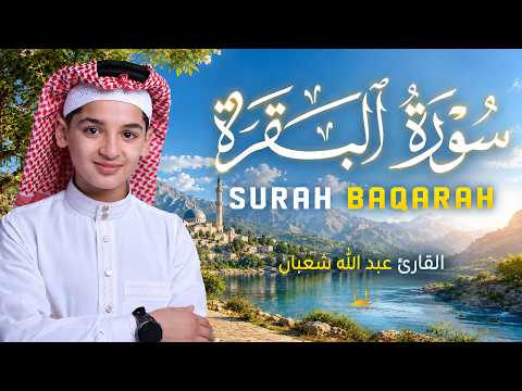 سورة البقرة - (كاملة)  تلاوة القرآن الكريم بصوت عاطفية - القارئ عبدالله شعبان