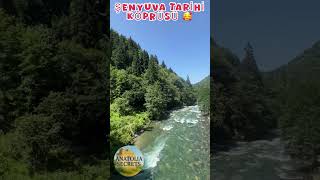 Tarihi Şenyuva Köprüsü - Fırtına Deresi’nin İncisi (Şenyuva Bridge Rize Turkey) 🌉🌿 Resimi