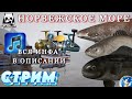 🌟ТРОЛИНГ ПО 80 БАНКЕ🌟НОРВЕЖСКОЕ МОРЕ🌟Русская Рыбалка 4(РР4)🌟