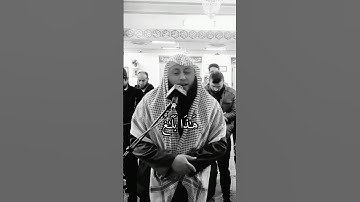 اذكروني بدعوة ولكم بالمثل ان شاء الله 💛🌿 القارئ حمزة الفار 💞#القرآن_الكريم