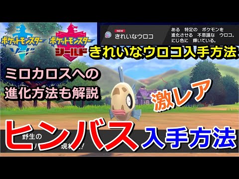 ソードシールド ヒンバスの種族値 わざ 特性など能力と入手方法 ポケモン剣盾 攻略大百科