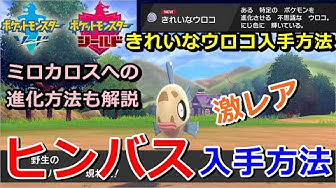 ヒンバス Youtube