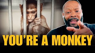 You're a Monkey