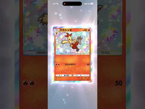 ワカシャモ　ポケポケ波動ビート　#pokemon  #ポケモン