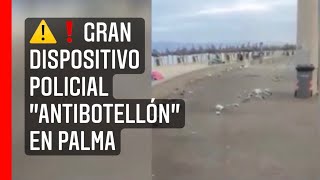Gran dispositivo policial "antibotellón" en Palma