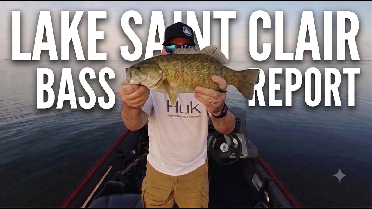 Lake St Clair Bass Fishing Report (SUMMER)