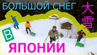 ЯПОНИЮ завалило снегом, нам пришлось разгребать