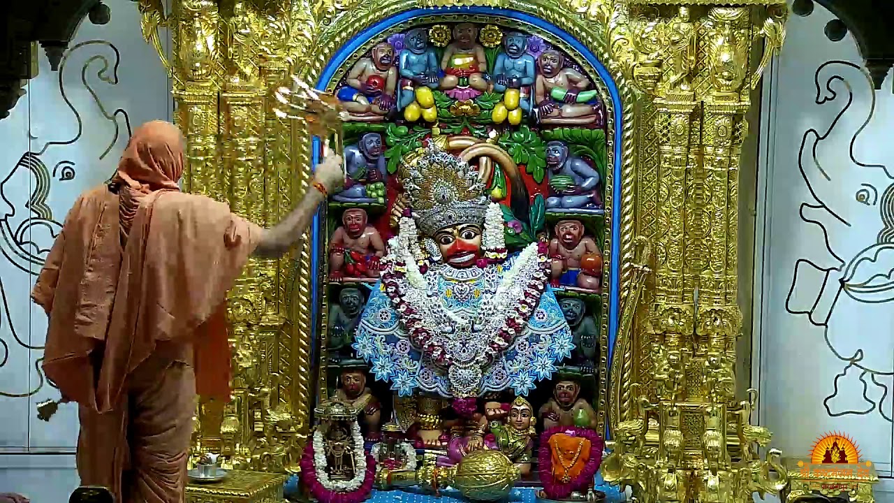 Aarti Darshan Salangpur Date   11 04 2020