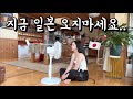 지금 일본 오지마세요.. 일본 여름을 우습게 본 한국거주 9년 일본인의 최후ㅋㅋㅋㅋㅋㅋㅋㅋ