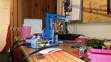 Welcome to Louis Pi and Mearm Pi Demo