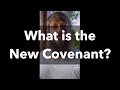 What is the new covenant