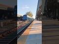Tri-Rail Express Hauling 50+ MPH Passed Deerfield Beach Station!