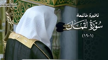 تلاوة خاشعة لأول سورة لقمان للشيخ د. عبدالله القرافي | فجر الاثنين 28-4-1447هـ