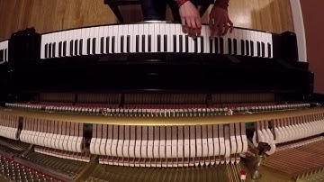 Thumbnail of Holly Bowling: Sage & Spirit