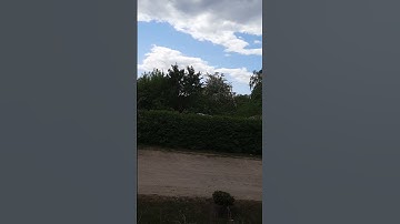 هذا خلق الله💚 #قران_كريم #تلاوة_خاشعة #اكسبلور #nature #المصحف #تصويري