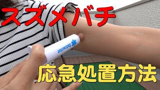 スズメバチに襲われた時の対処方法　刺された時の対処方法　ポイズンリムーバーの使い方