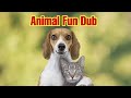 Animals fun dub  shelvines 