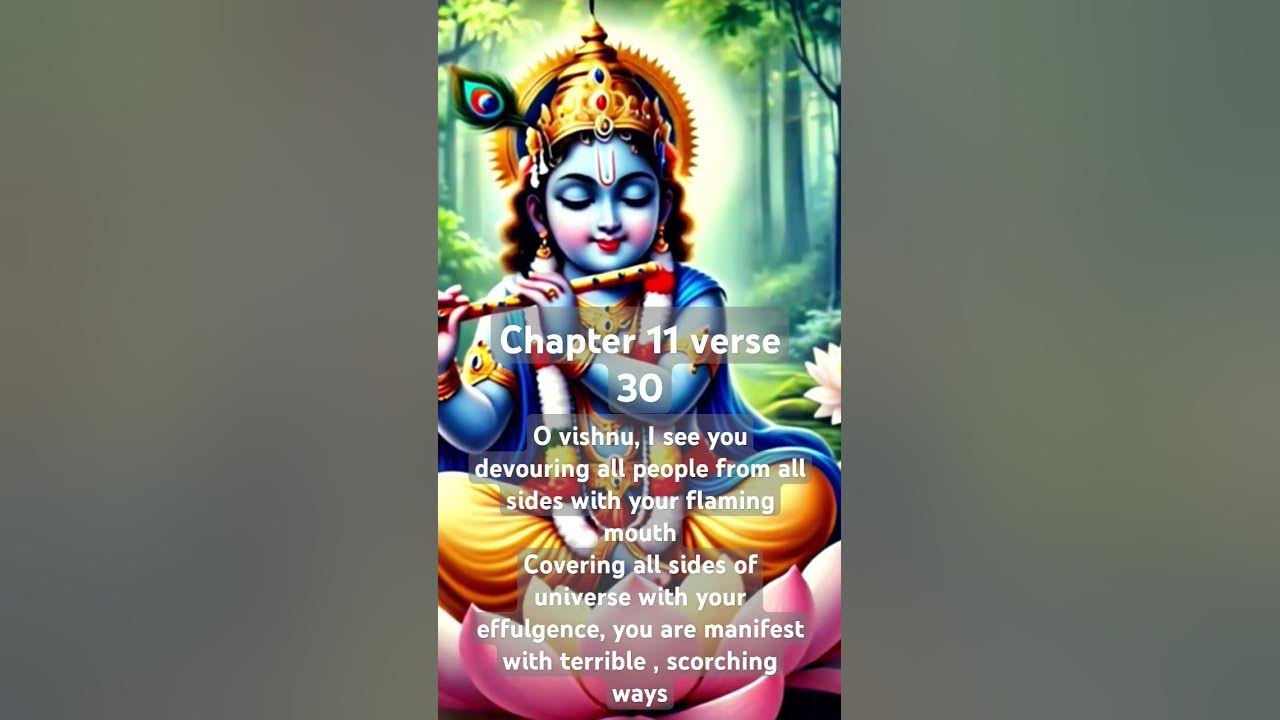 chapter-11-verse-30-shrimad-bhagvad-geeta-shorts-youtube