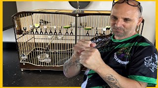 SÓ VAI DA BORDOADA MANEJO DO ZERO COLEIRO PAPA-CAPIM screenshot 4