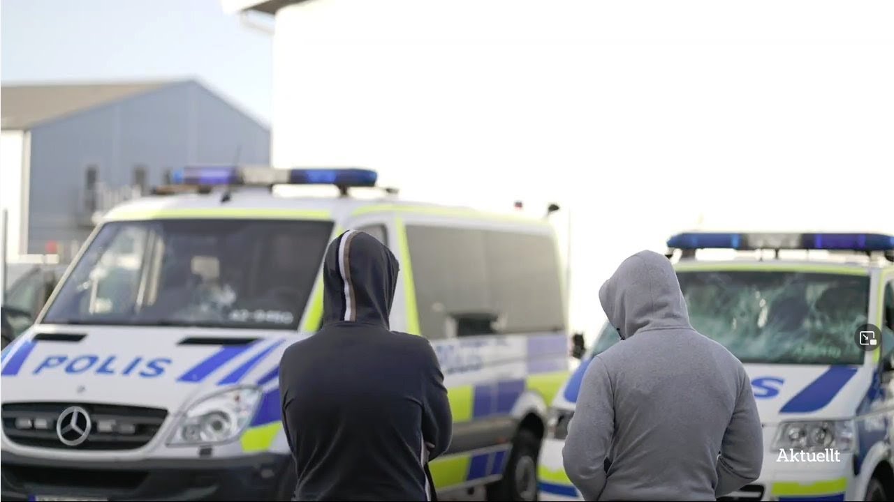 Upplopp och kravaller: sammanfattning