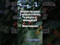 Вопросы Access, Татьяна Попова. Скажи жизни ДА! https://t.me/Be_yourself_Yes