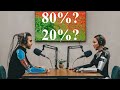 Criticisms of the Pareto principle | A NotebookLM Deep Dive