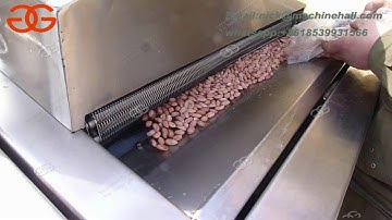 Automatic Nuts Deep Frying Machine For Sale Video