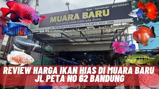 REVIEW OF ORNAMENTAL FISH PRICES IN MUARA BARU JL PETA BANDUNG