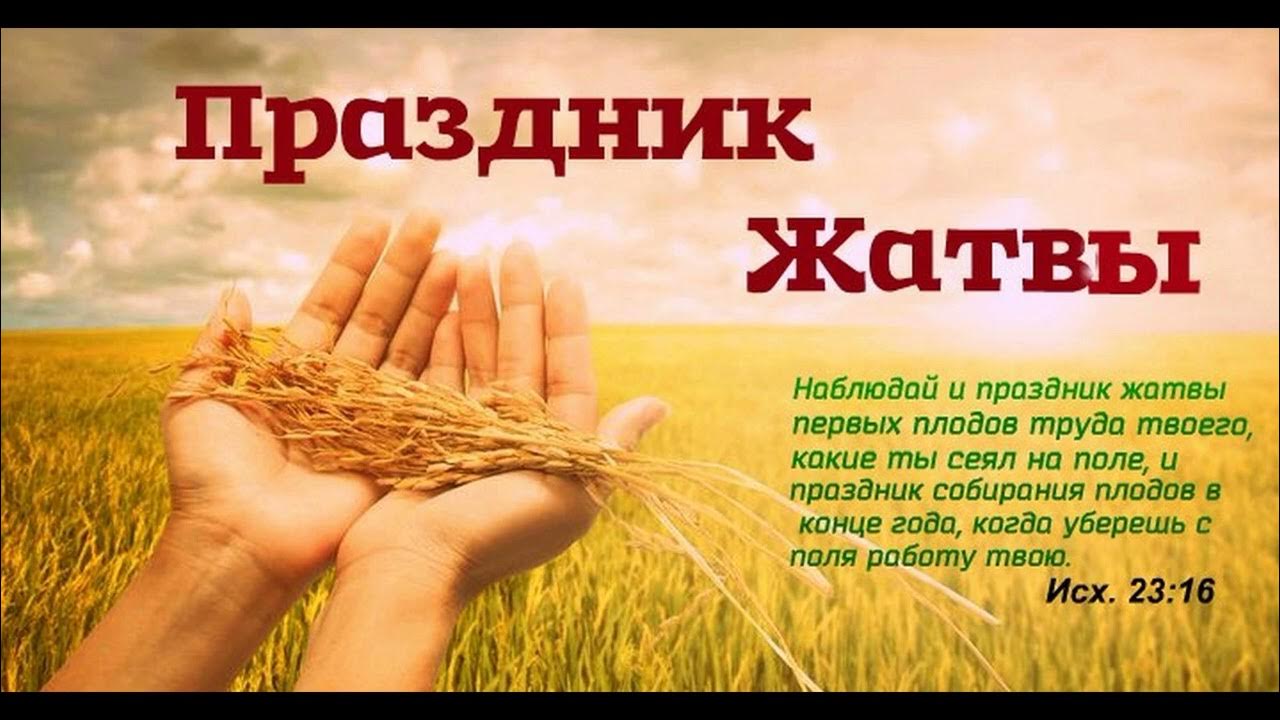 жатвы много а делателей мало. христианские стихи на жатву. жатва значение.  9:37). с праздником жатвы христианские.