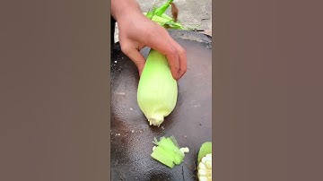 So Fast Corn Cutting Tools #agriculture #cuttingskills #shorts