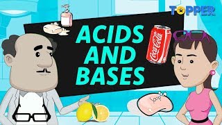 Acids and Bases | Class 7th Chemistry |