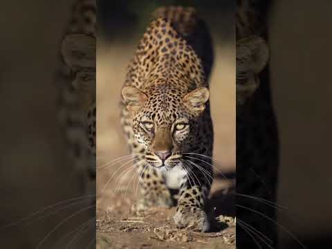 بلند شو و انجامش بده همین الان