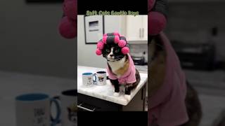 Soft Cats Gentle Days