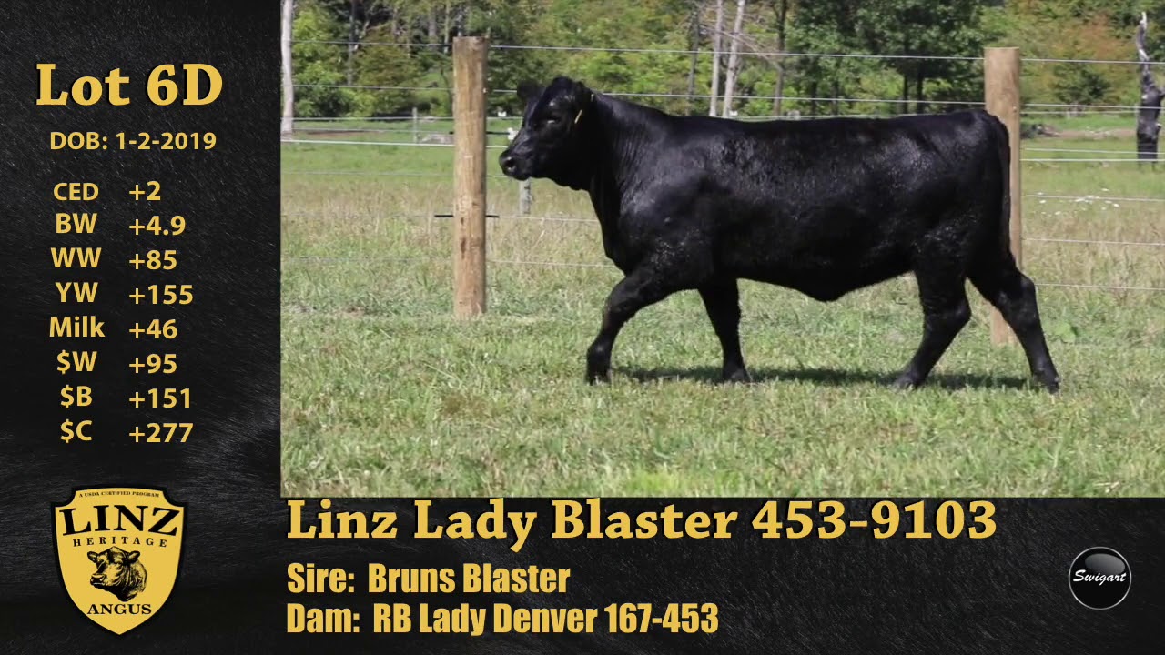 video phone lyrics Linz Lot 6D - Linz Lady Blaster 453-9103