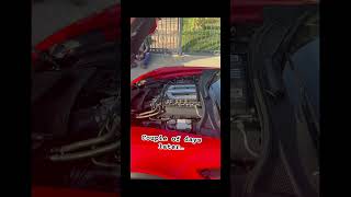 Big red 🏎️ #entertainment #youtubeshorts #shorts #viralvideo #z06 #manual #corvette #c7